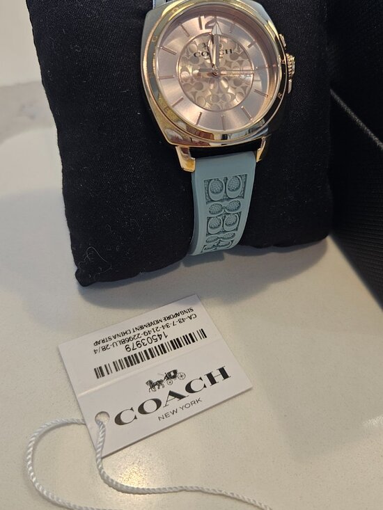 Ladies Boyfriend Coach Watch ⌚️ main image 14